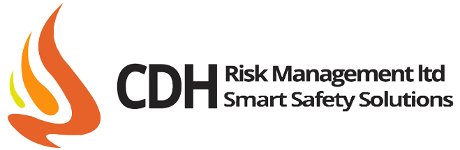 CDH Risk Management Header Logo
